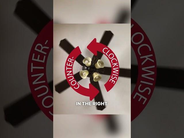 Helpful Homeowner Tip of the Week - Ceiling Fan Direction
