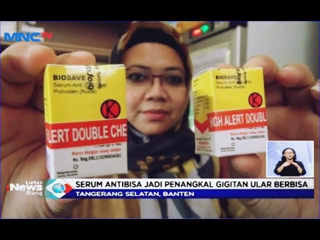 Serum Antibisa Jadi Penangkal Gigitan Ular Berbisa - LIS 18/12