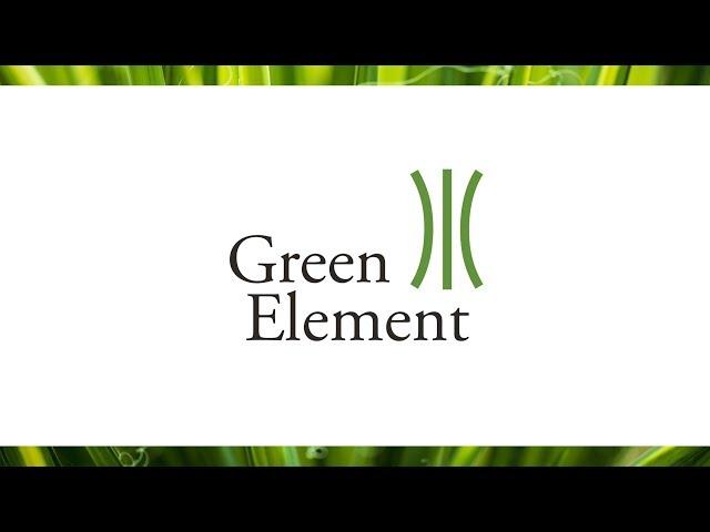 Rise for climate with the Green Element Staff