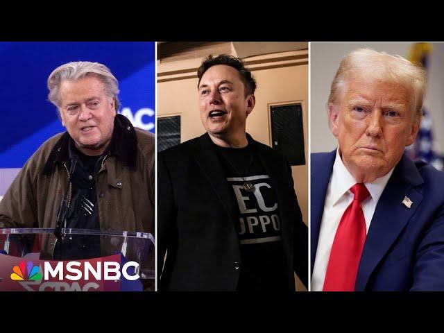 Tensions growing between Steve Bannon and Elon Musk: NYT