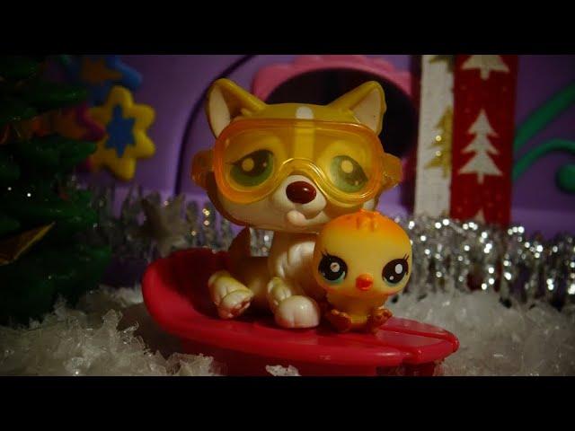 Littlest Pet Shop: Adventní soutěž #3 (UZAVŘENO)