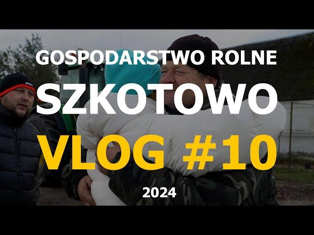 Nowy rozsiewacz, wielkie wędzenie i świąteczne pojednanie z Panem Jarkiem // VLOG#10 GRSzkotowo