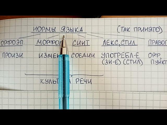Нормы языка – что это такое простыми словами, какие они бывают и зачем нужны