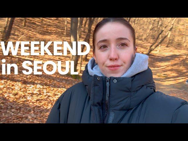 Weekend in Korea Vlog | Local Korean Bakery, Suwon Starfield, Dog trying ice cream & Korean buffet