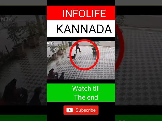 intelligent man kannad #youtubeshorts #shorts #trending #infolifekannada #viral #viralvideo #kannada