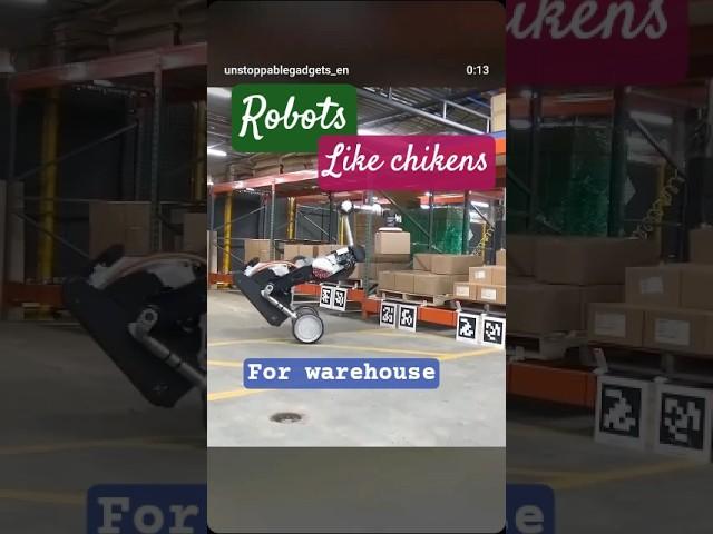 Robots Like Chikens For Warehouses