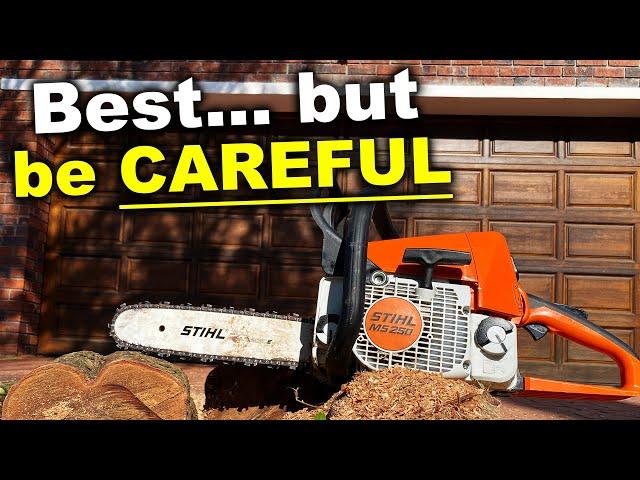 Best Gas Chainsaw? Everything you NEED to know - Stihl MS250 - Review and Testing Burton Builds