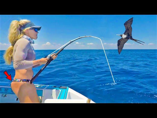 Secret TINY Baits Under a MASSIVE Bird! Florida Keys Style Fishing