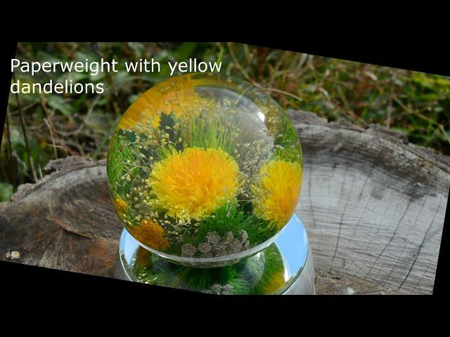 Paperweight Yellow dandelions 10 cm, birthday gift, decoration. Author's glass by Yulia Kurakina