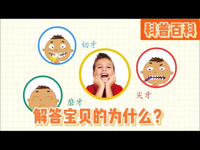 解答宝贝的为什么？+科普百科| 儿童早教认知｜动物儿歌｜儿歌 |童谣|动画片|Learn Chinese  Nursery Rhymes & Kids Songs