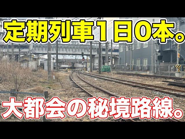 【激レア】ありえない路線に入る特急車両に乗ってきた。