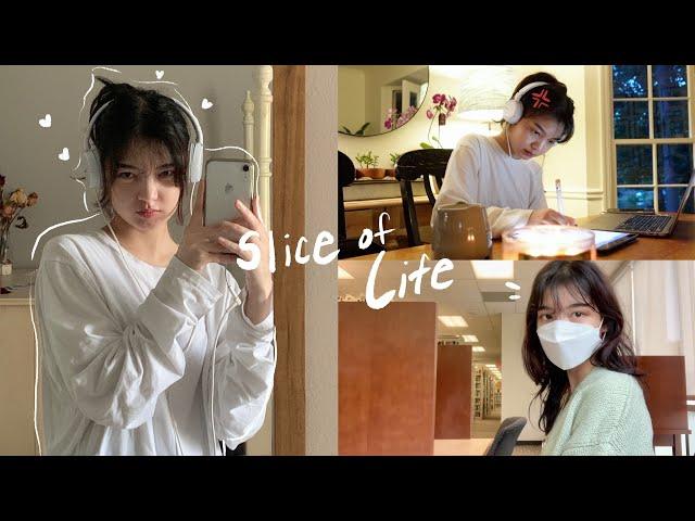 Slice of Life: Uni Student Life, Exam Study Vlog, Lots of Cooking, Being Busy!