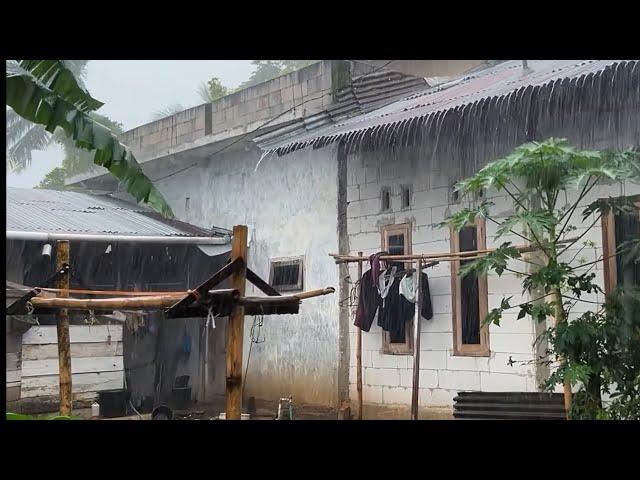 LIVE Heavy rain in beautiful village||very heavy and cool