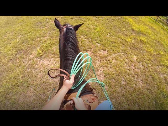 Hold your Reins Like a Team Roping PRO!