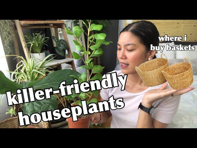 PLANT HAUL | EASY AND LOW MAINTENANCE HOUSE PLANTS (PHILIPPINES)