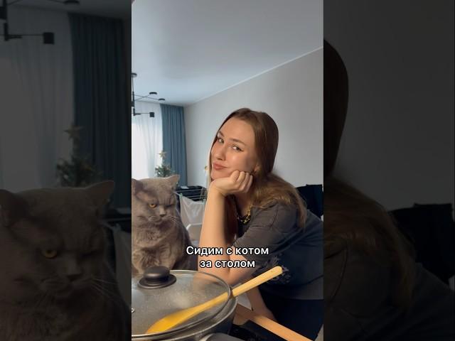 Поправочка, у меня кошка ️