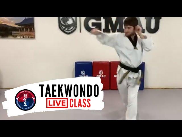 Taekwondo Basic Punching & Kicking LIVE Class