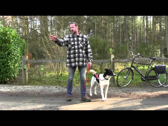 Eddy Druppel: Voorbeeldoefeningen met Sam en Banshé