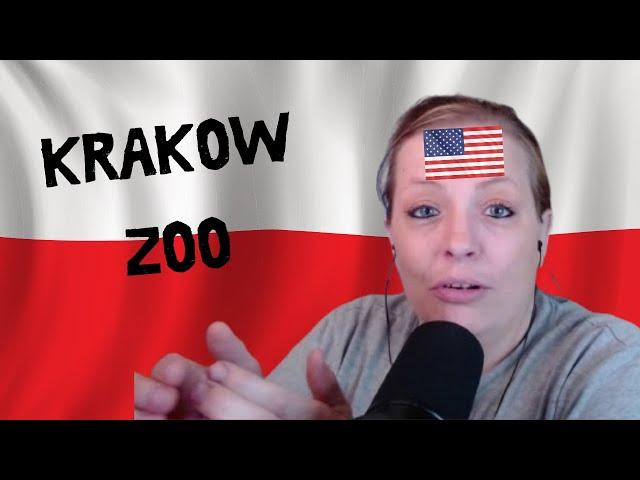 American Reacts to Krakow ZOO & NEW Baby Tiger