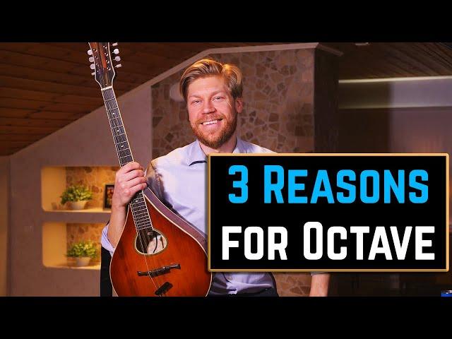 3 Reasons Why I Think You Should Play the Octave Mandolin