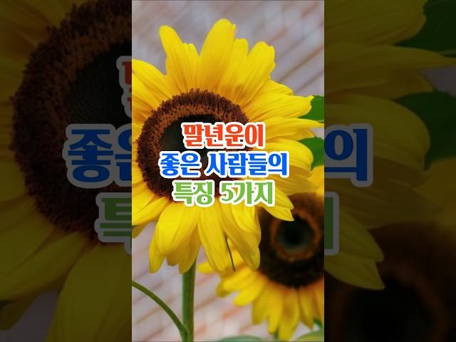 말년운이 좋은 사람들의 특징5가지#명언#좋은글#지혜#인생조언