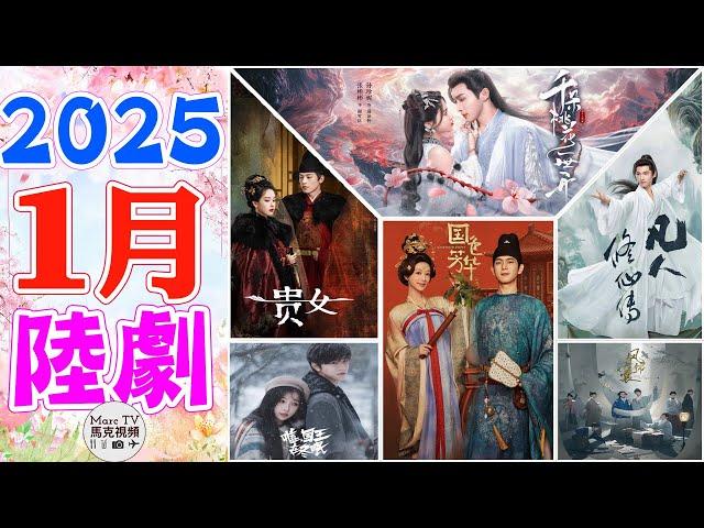 2025年1月陸劇介紹│1月開播的七部開年大劇~精彩連連·讓你看過癮！【一月大陸劇】