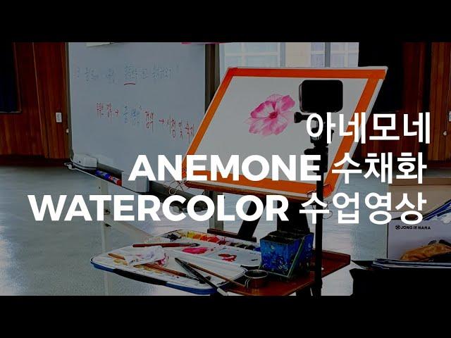 아네모네 수채화기법 설명 영상 | anemone watercolor technique