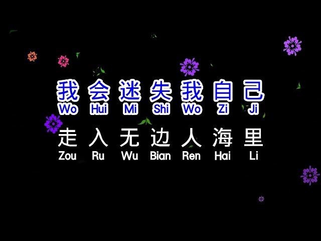 小阿枫  《 我只在乎你 》  wo zhi zai hu ni