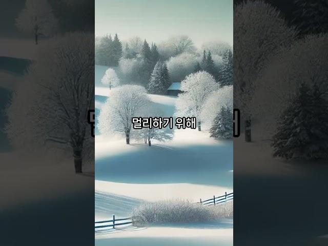 성령의 열매 '절제'#절제의미학#성령의열매#삶의균형#자기관리#마음다스리기