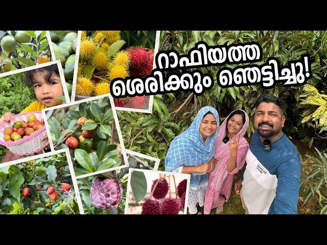 കാണണം! ഈ വീട്ടമ്മയുടെ ജീവിതം Amazing fruits farm by a house wife - Route Records