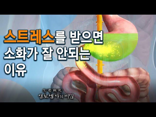 기능성 소화 불량 - 코로나19 시대, 당신의 위가 위험하다! (KBS_752회_2020.11.11 방송)