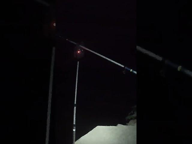 ДОНКА НА КАНАЛЕ, Grundangel am Kanal.
