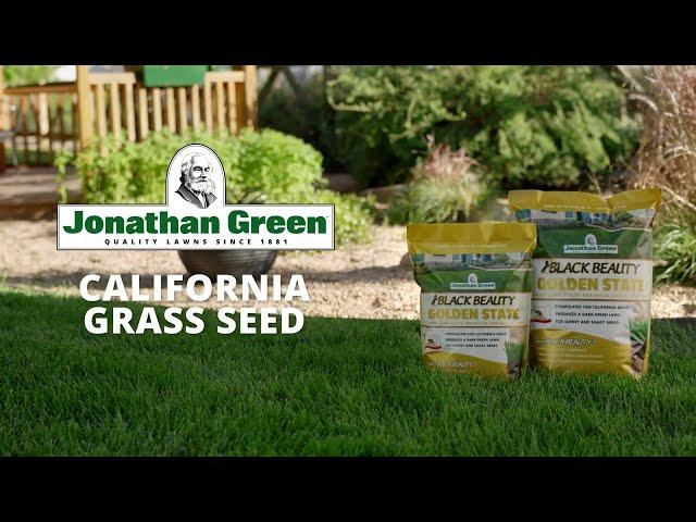 Black Beauty Golden State California Premium Grass Seed | Commercial