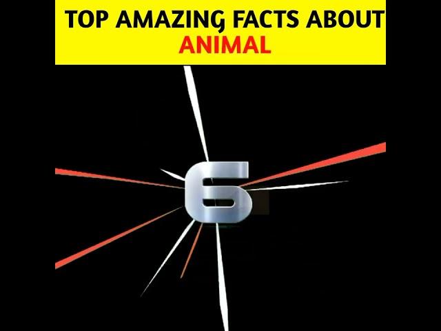 Top Amazing fact about Animals by@edushorts91 #shorts #ytshorts #youtubeshorts #facts