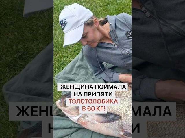 Женщина достала из Припяти толстолобика весом в 60 килограммов