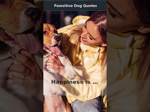 Pawsitive Dog Quotes | Happiness is... #shorts