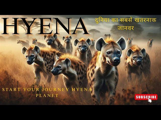 इस जानवर का पेट अंधा कुंवा होता हैMost Cruel Animal in the World #hyena #facts