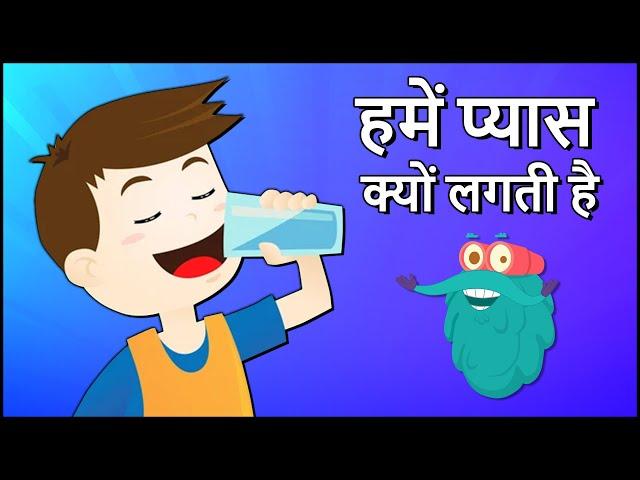 हमें प्यास क्यों लगती है | Why Do We Drink Water In Hindi | Dr.Binocs Show | Importance Of Water