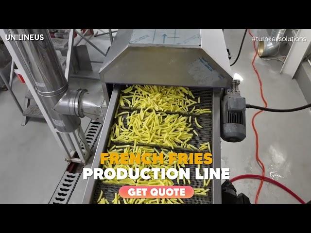 Revolutionize Your Business with UNILINEUS French Fries Production Line! 