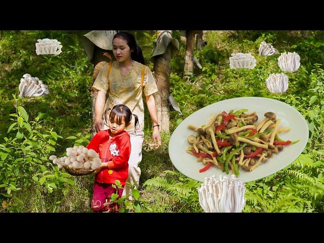 Harvesting Fresh Mushrooms from the Forest & Cooking Delicious Dishes | Country Life with a Girl