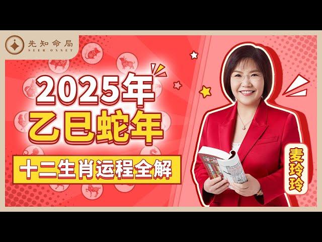 麦玲玲师傅详解2025蛇年运程：十二生肖完整版！事业运、财运、人际关系、爱情、婚姻、健康全解析！