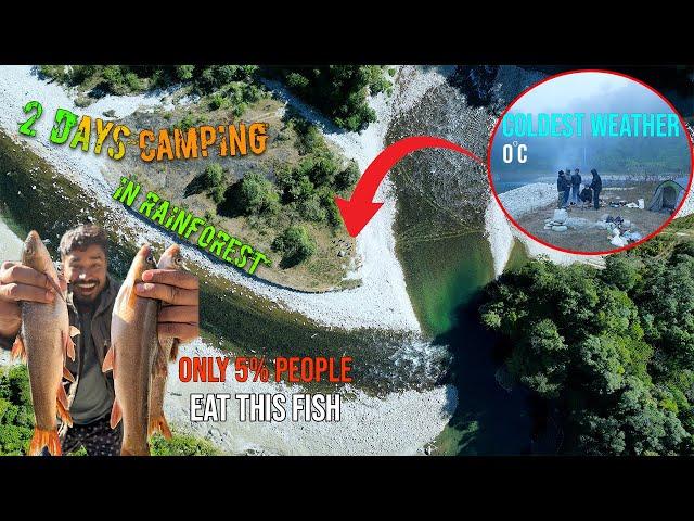 2 Days Group Camping at 0°C & Trout Fishing in Rainforest: The Quest for Legendary Trout | Part 1