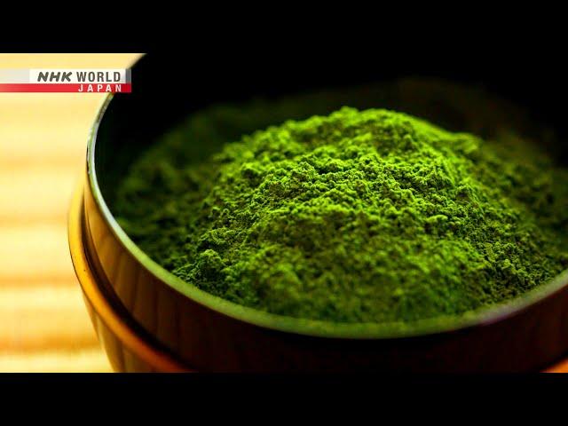 JAPANESE GREEN TEA: Unbelievable Matcha Making - Dig More Japan