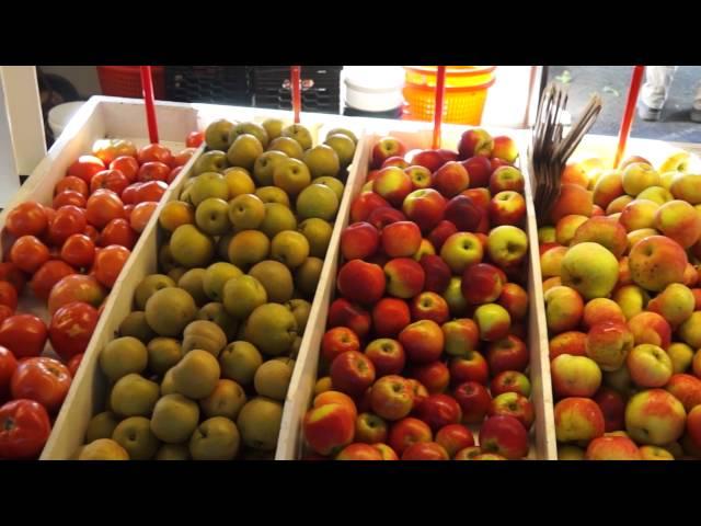 Terhune Orchards, Princeton, NJ - Apple Harvest