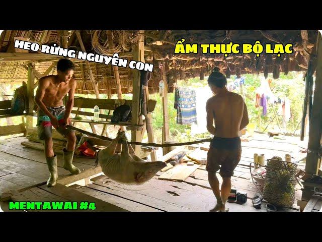 Heo Rừng Nguyên Con |Bữa Tiệc Lớn Tại Bộ Lạc Mentawai  p4