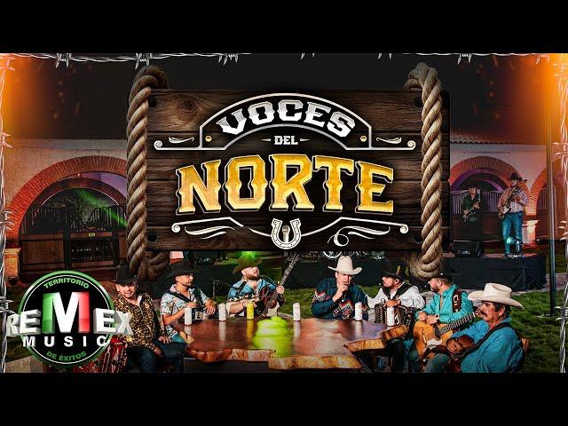 Leandro Ríos - Arnulfo III - Carlos y José Jr. - Beto Quintanilla Jr. - Voces Del Norte (Full Video)