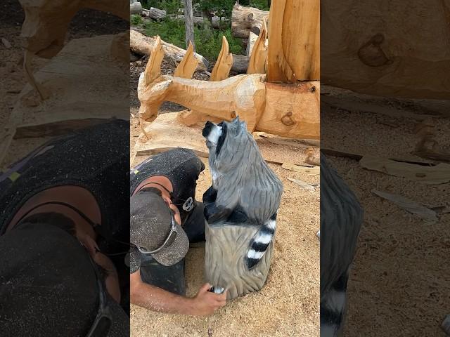 Beatles rocky raccoon to chainsaw carving a wooden raccoon #chainsawart #carving #spirit #wood #art