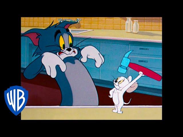 Том и Джерри | Грозная белая мышь | WB Kids