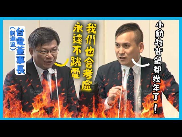 【國會質詢】停電次數增加，台電董座卻硬凹！？葉元之狂嗆：官僚！