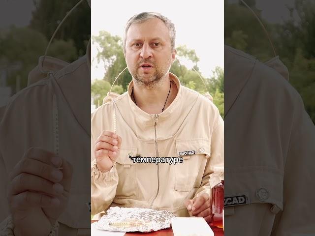 КАК ПРИНИМАТЬ МАТОЧНОЕ МОЛОЧКО
